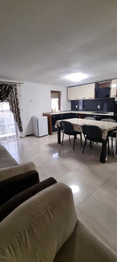 Vila Davison Targu Jiu Exterior photo