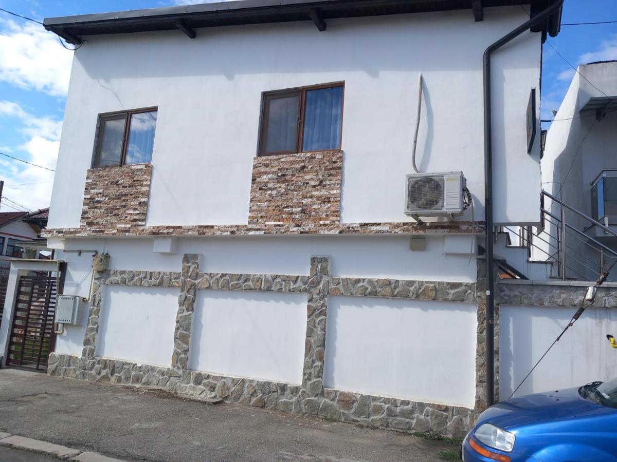Vila Davison Targu Jiu Exterior photo